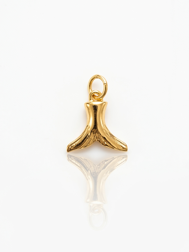 MINI CODA DI BALENA